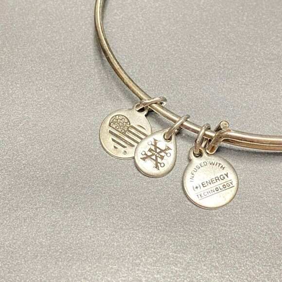 Alex and Ani Warmth Friendship Pineapple Adjustable Wire Silver Tone Bracelet - Picture 5 of 5